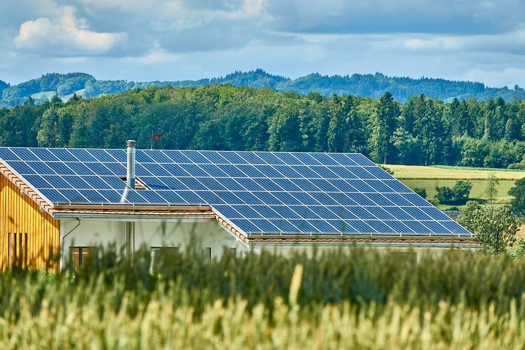 Solar panel installation and green roof on family home
